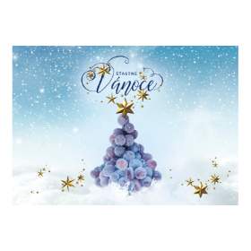 Dárková kartička Vánoce